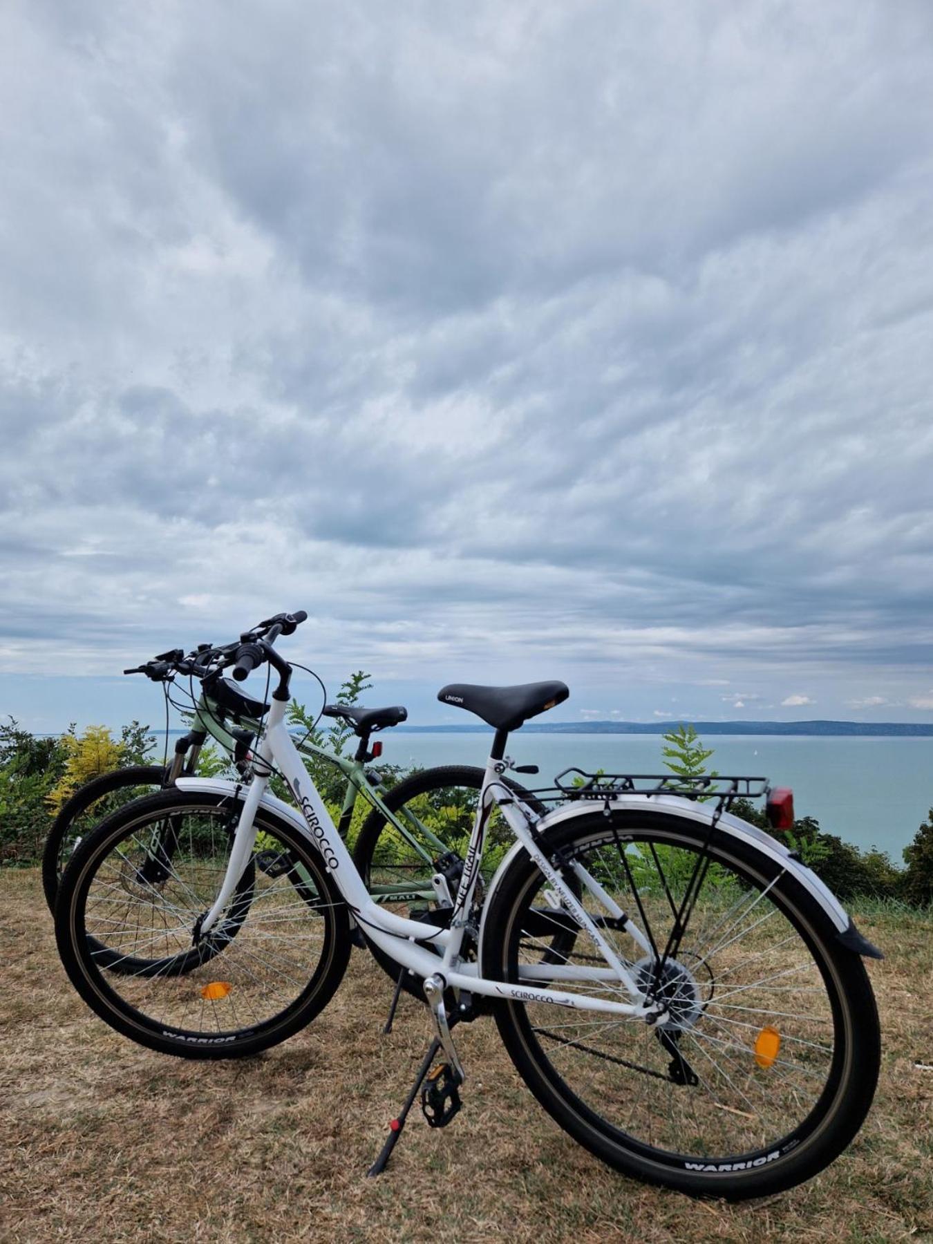 Panoramic Apartments Balatonvilágos Zewnętrze zdjęcie