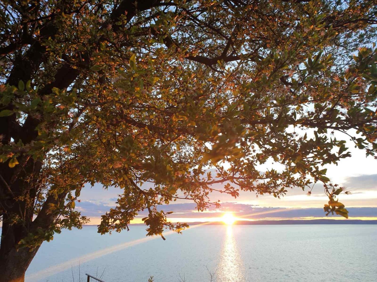 Panoramic Apartments Balatonvilágos Zewnętrze zdjęcie